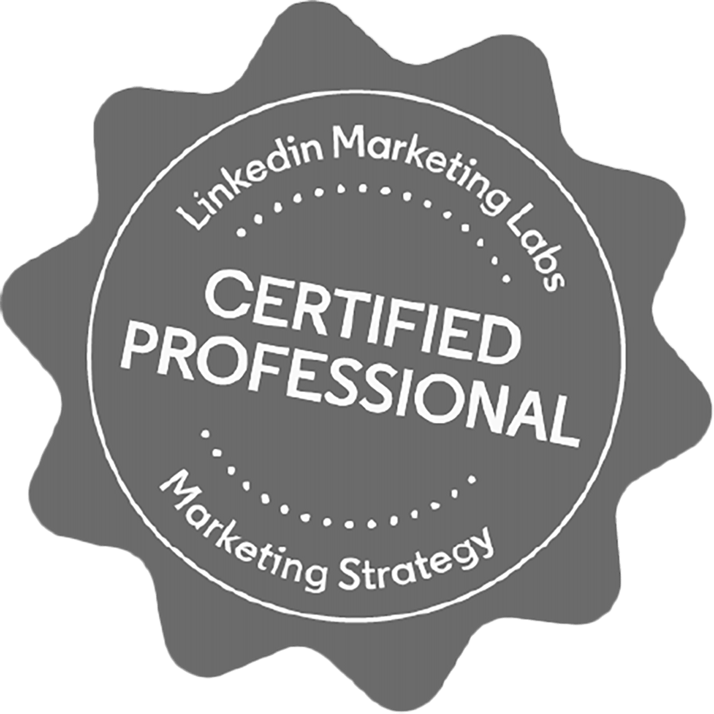 San-Jose-Certified-Marketing-Company-LinkedIn